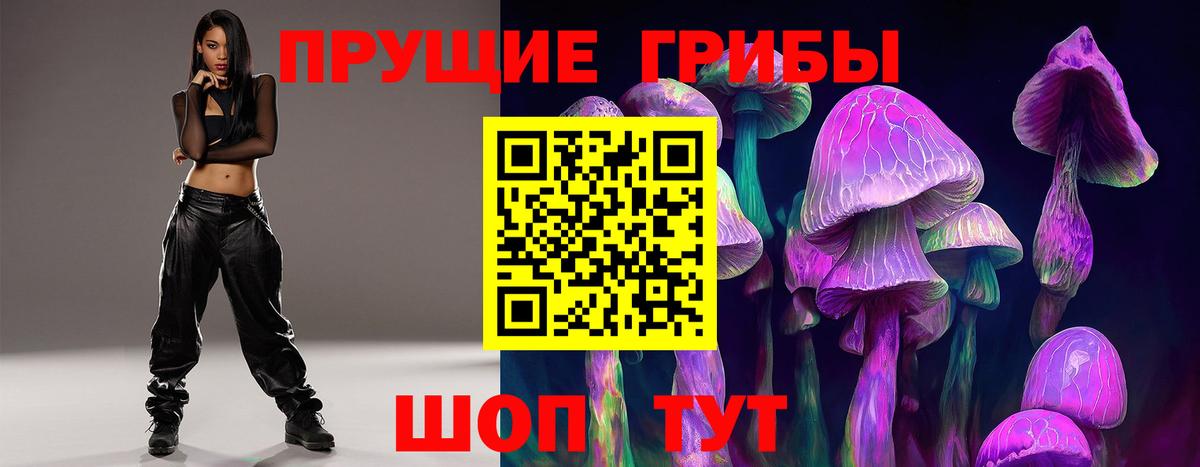 Псилоцибиновые грибы Psilocybine cubensis Заречный